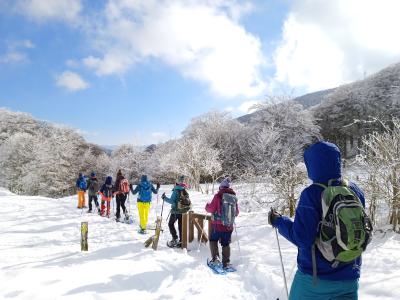 Raquetas de nieve en Navarra